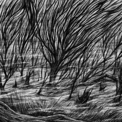 Bismuth: The Eternal Marshes -[Vinyl LP]