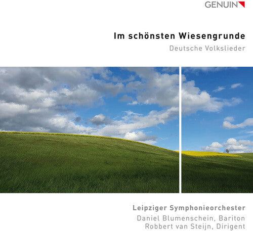 Robbert van Steijn: Im Schonsten Wiesengrunde - COMPACT DISCS