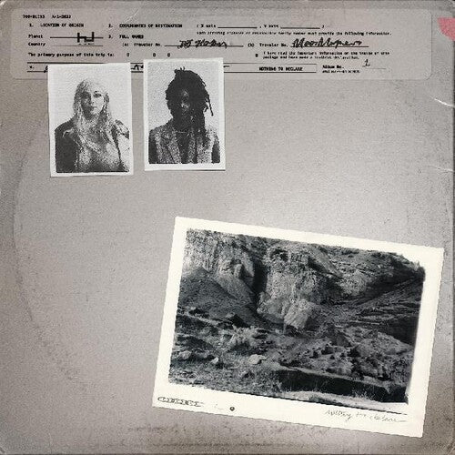 700 Bliss: Nothing To Declare -[Vinyl LP]