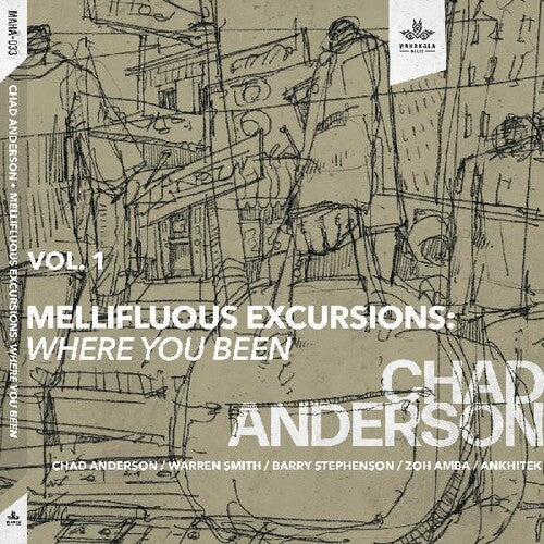 Chad Anderson: Mellifluous Excursions 1- Where You Been - COMPACT DISCS