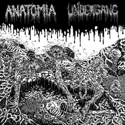 Undergang / Anatomia: Split -[Vinyl LP]