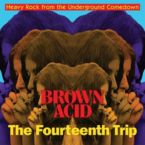 Various Artists: Brown Acid - Fourteenth Trip (various Artists) -[Vinyl LP]