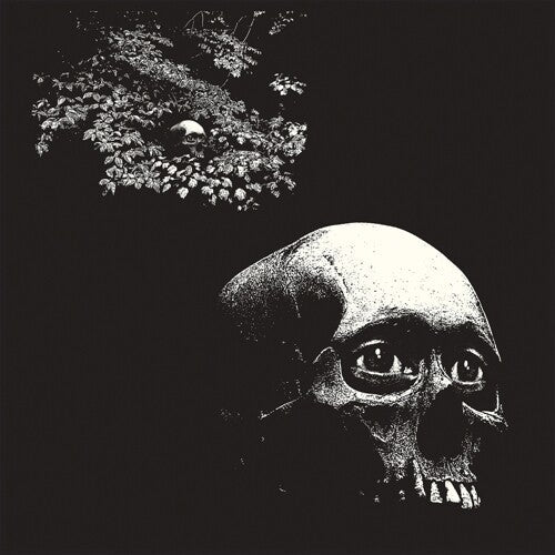 Osees: Foul Form -[Vinyl LP]