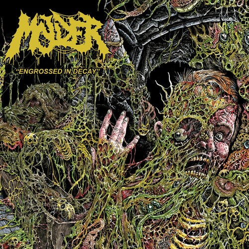 Molder: Engrossed In Decay - COMPACT DISCS