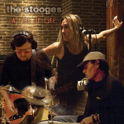 The Stooges: A Fire of Life - COMPACT DISCS