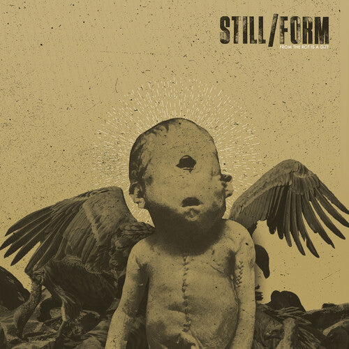 Still/Form: From The Rot Is A Gift -[Vinyl LP]