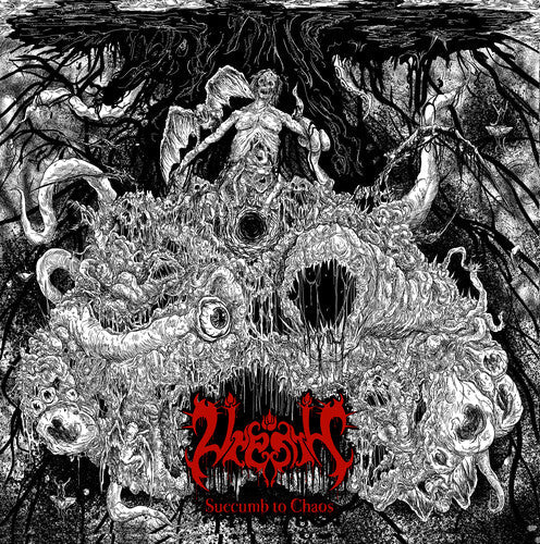 Vrenth: Succumb To Chaos - COMPACT DISCS
