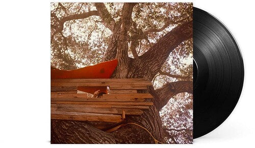 Backseat Lovers: Waiting To Spill -[Vinyl LP]