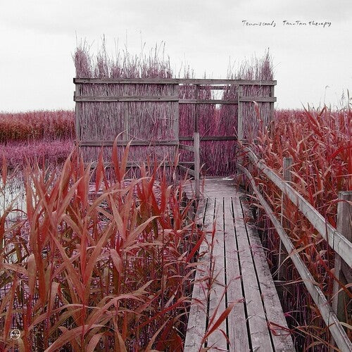 Tenniscoats: Tan-Tan Therapy -[Vinyl LP]