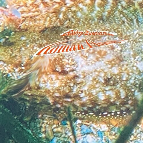 Roman Flugel: Balmy Evening -[Vinyl LP]