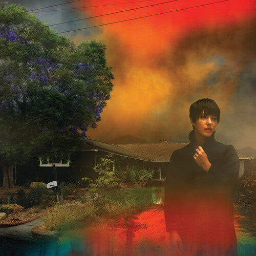 Sharon Van Etten: We've Been Going About This All Wrong - Custard -[Vinyl LP]