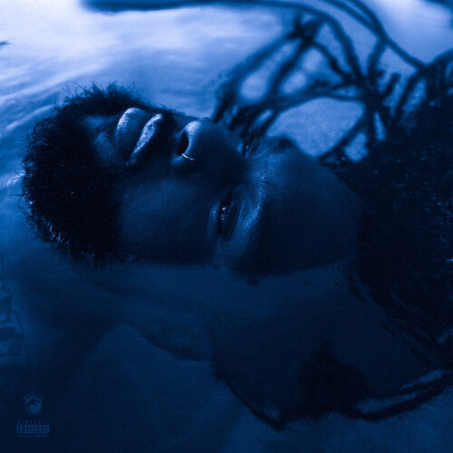 Rexx Life Raj: The Blue Hour -[Vinyl LP]