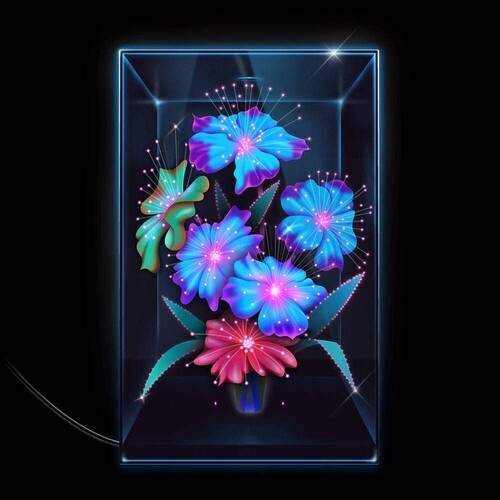 Xenia Rubinos: Una Rosa -[Vinyl LP]