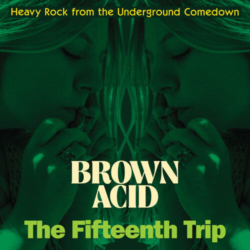 Various Artists: Brown Acid - The Fifteenth Trip (Various Artists) -[Vinyl LP]