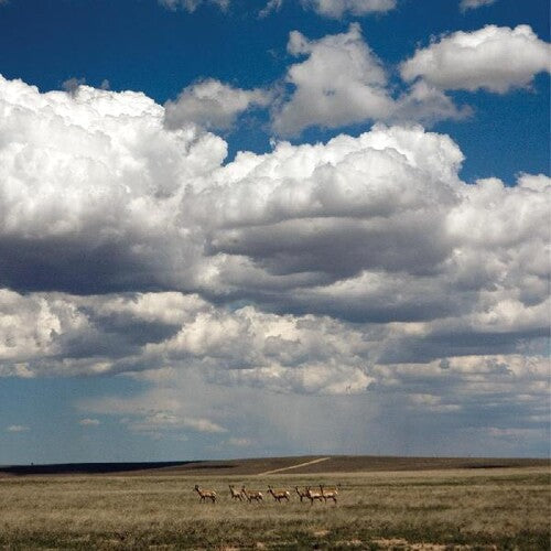 Fruit Bats: Tripper -[Vinyl LP]