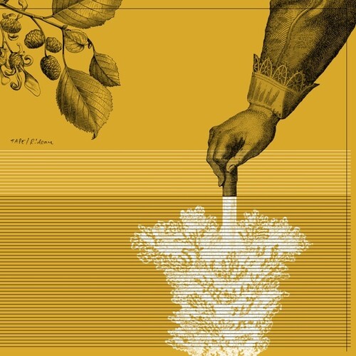 Tape: Rideau -[Vinyl LP]