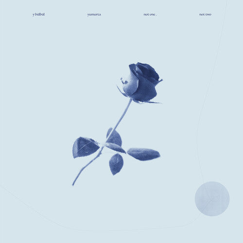 Y Bulbul / Yumurta: Not One, Not Two -[Vinyl LP]