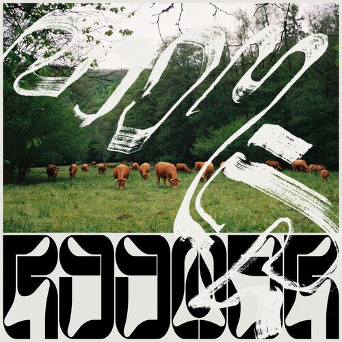 Roomer: Skice - 10-Inch -[Vinyl LP]