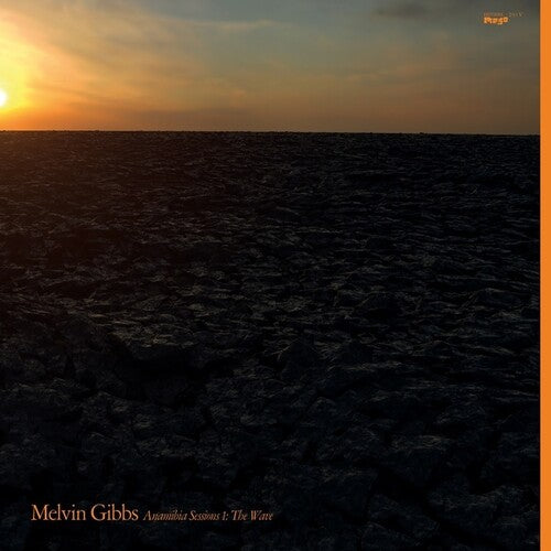 Melvin Gibbs: Anamibia Sessions 1: The Wave -[Vinyl LP]