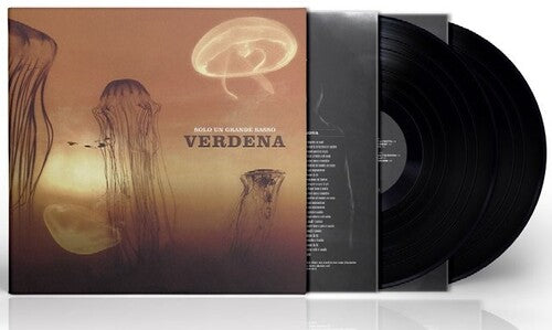 Verdena: Solo Un Grande Sasso -[Vinyl LP]
