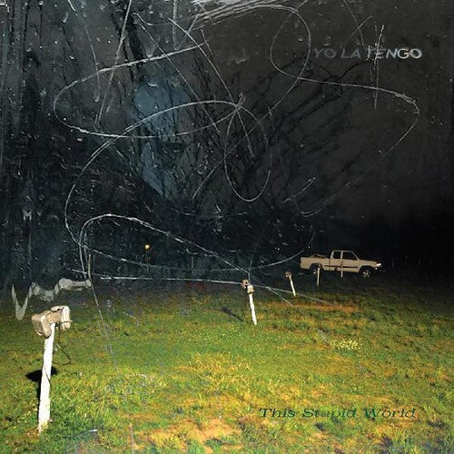 Yo La Tengo: This Stupid World -[Vinyl LP]