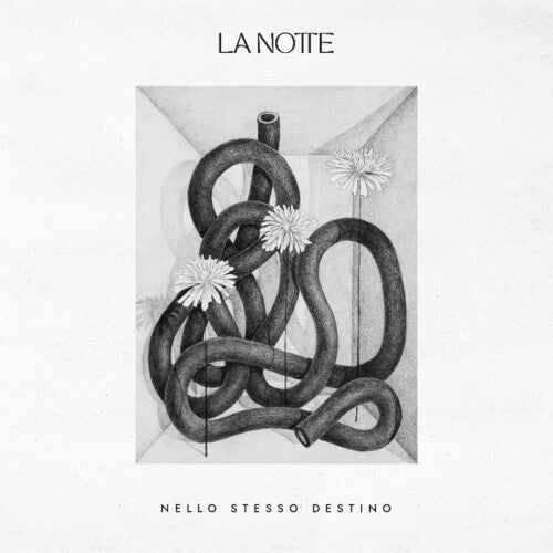La Notte: Nello Stesso Destino - COMPACT DISCS