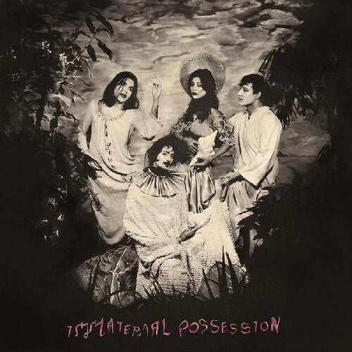 Immaterial Possession: Immaterial Possession -[Vinyl LP]