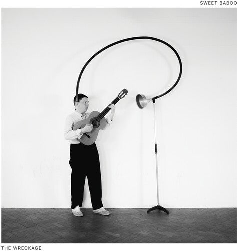 Sweet Baboo: The Wreckage -[Vinyl LP]