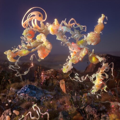 Sos Gunver Ryberg: Spine -[Vinyl LP]