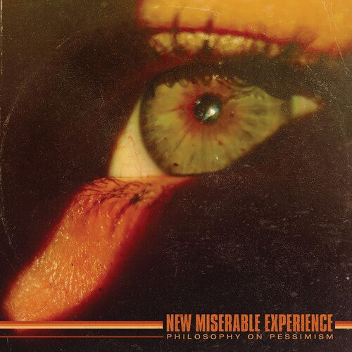 New Miserable Experience: PHILOSOPHY ON PESSIMISM -[Vinyl LP]