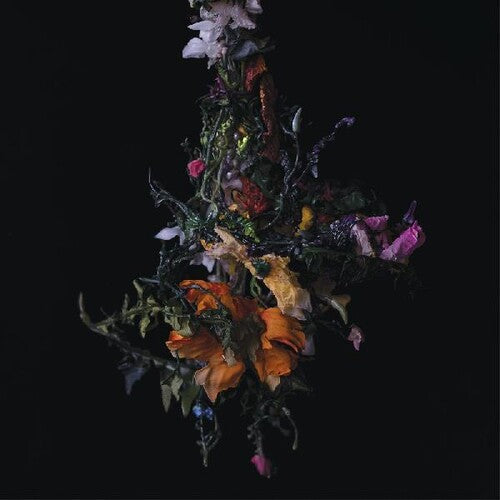 Big/Brave: Nature Morte -[Vinyl LP]