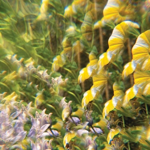 Imaginary Softwoods: The Notional Pastures Of Imaginary Softwoods -[Vinyl LP]