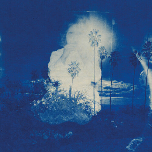 Fruit Bats: A River Running to Your Heart - COMPACT DISCS