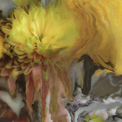Parker Millsap: Wilderness Within You -[Vinyl LP]