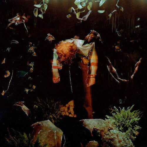 Cavetown: Worm Food -[Vinyl LP]