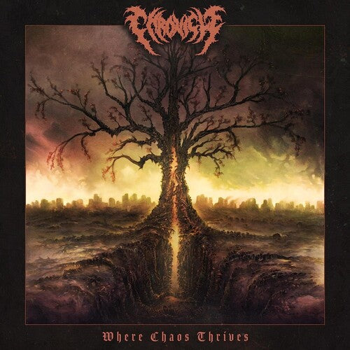 Chronicle: Where Chaos Thrives - COMPACT DISCS