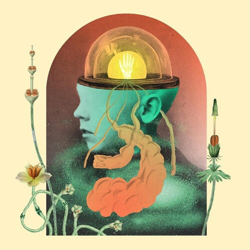 Salami Rose Joe Louis: Akousmatikous - COMPACT DISCS