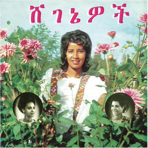 Aselefech Ashine: Beauties -[Vinyl LP]