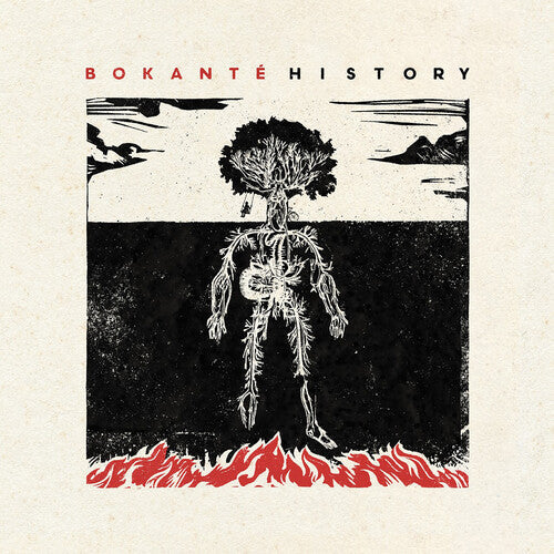 Bokante: History -[Vinyl LP]