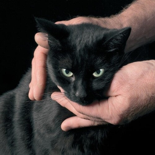 Peter Kernel: White Death, Black Heart -[Vinyl LP]