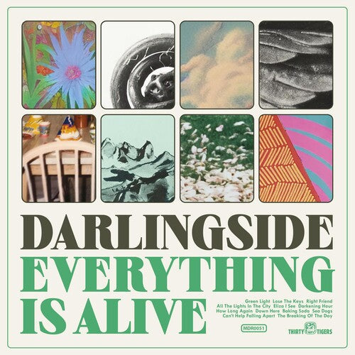 Darlingside: Everything Is Alive -[Vinyl LP]