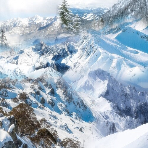 Schntzl: Holiday -[Vinyl LP]