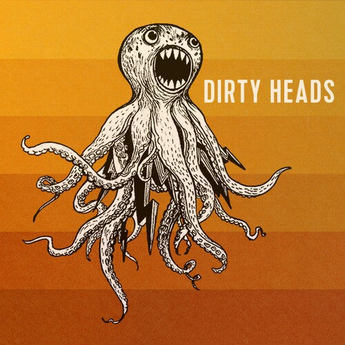 Dirty Heads: Dirty Heads -[Vinyl LP]