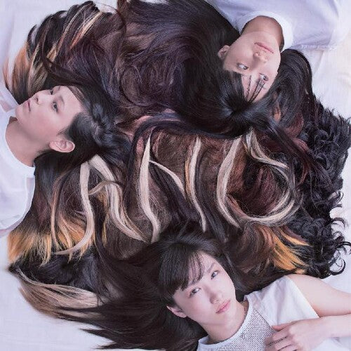 Tricot: A N D -[Vinyl LP]