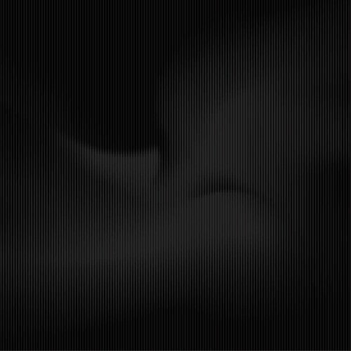 Ambrose Akinmusire: Beauty Is Enough -[Vinyl LP]