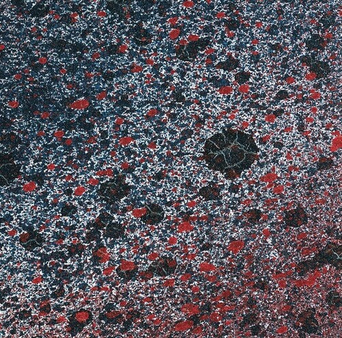 Leitmotiv Limbo: Superior State -[Vinyl LP]