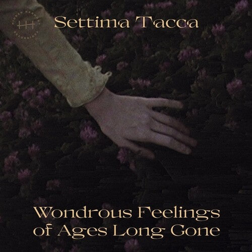 Settima Tacca: Wondrous Feelings Of Ages Long Gone -[Vinyl LP]