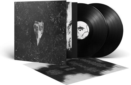 Bees Made Honey in the Vein Tree: Aion -[Vinyl LP]