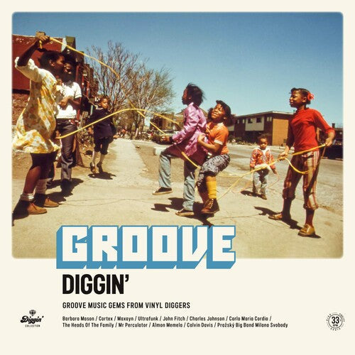 Various Artists: Groove Diggin / Various -[Vinyl LP]