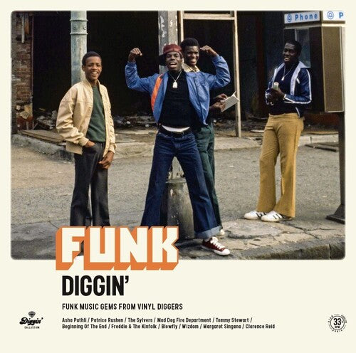 Various Artists: Funk Diggin / Various -[Vinyl LP]